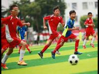 飞翼VS神秘人直播_飞翼VS神秘人比赛高清直播_飞翼VS神秘人直播免费观看无插件